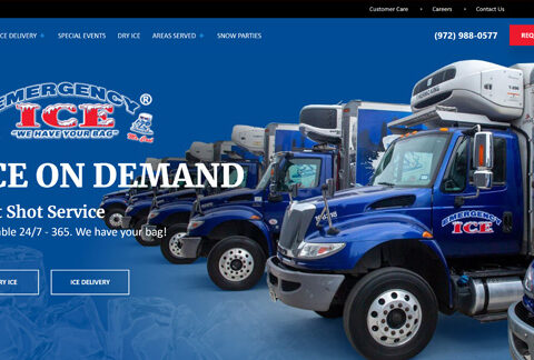 Wordpress web development for ice company