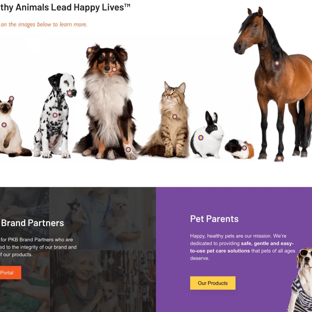 Zymox Home Page Screenshot